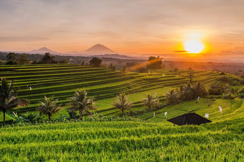 Sunrise di Bali dengan cahaya pagi yang hangat, cocok untuk sesi foto prewedding dan personal branding.