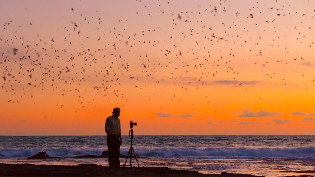 Fotografer mengambil foto saat sunset di pantai Bali dengan cahaya golden hour yang hangat dan estetik.